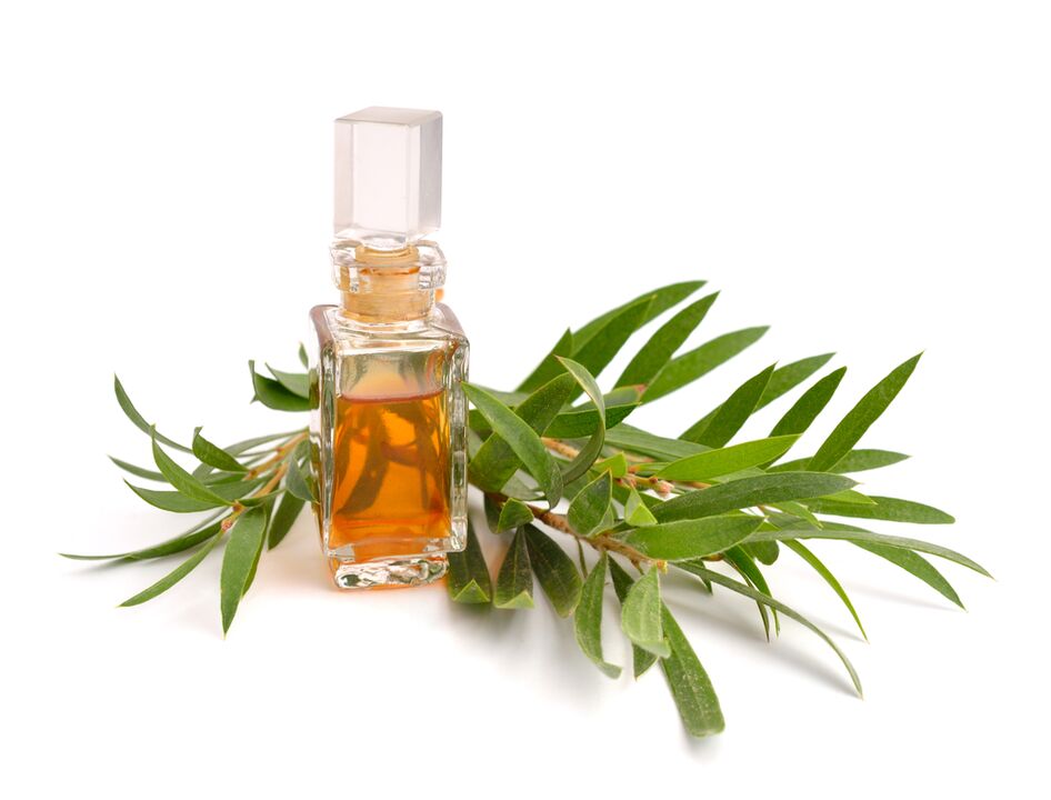 Olio dell'albero del tè come parte del valore gel zxcvbnmq